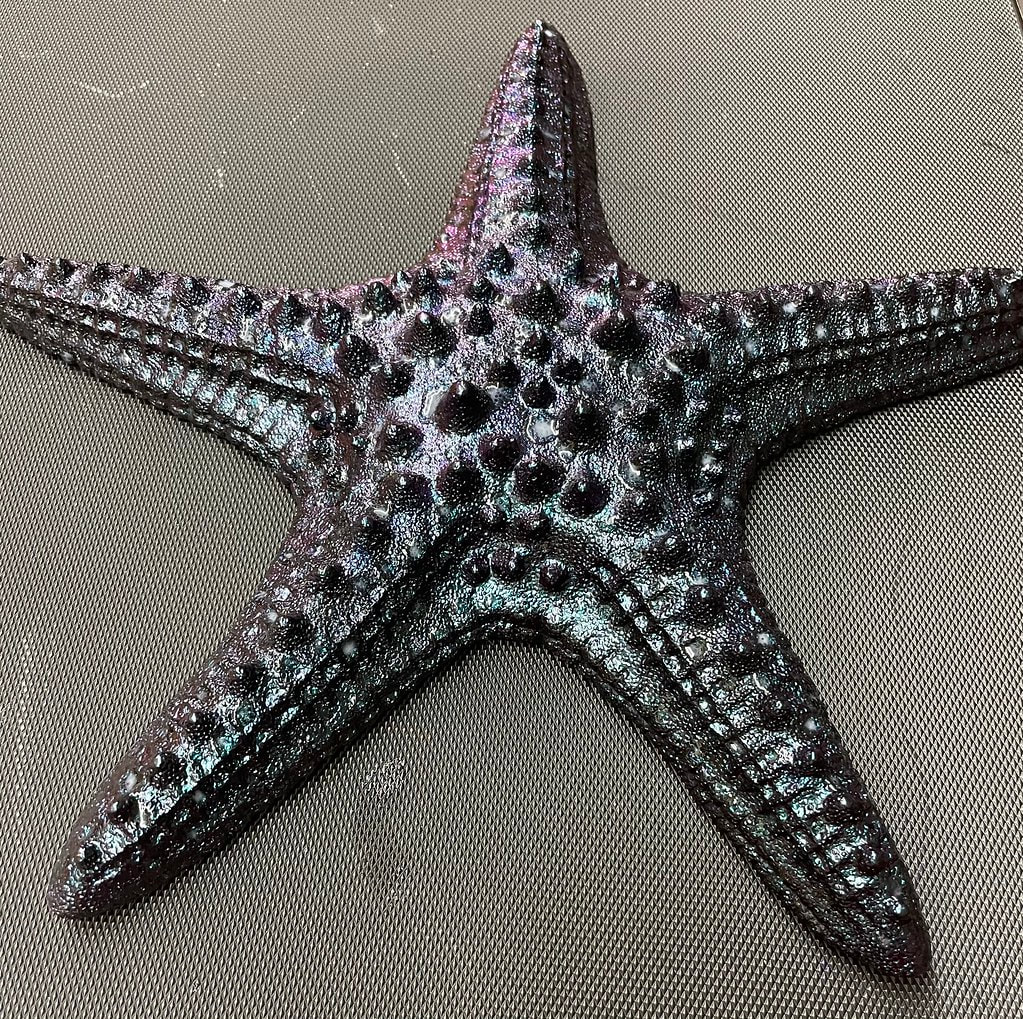 Colorshift Starfish